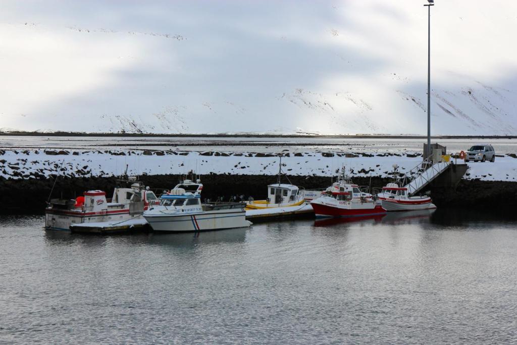 Comfy Guesthouse Westfjords Sudureyri Екстериор снимка